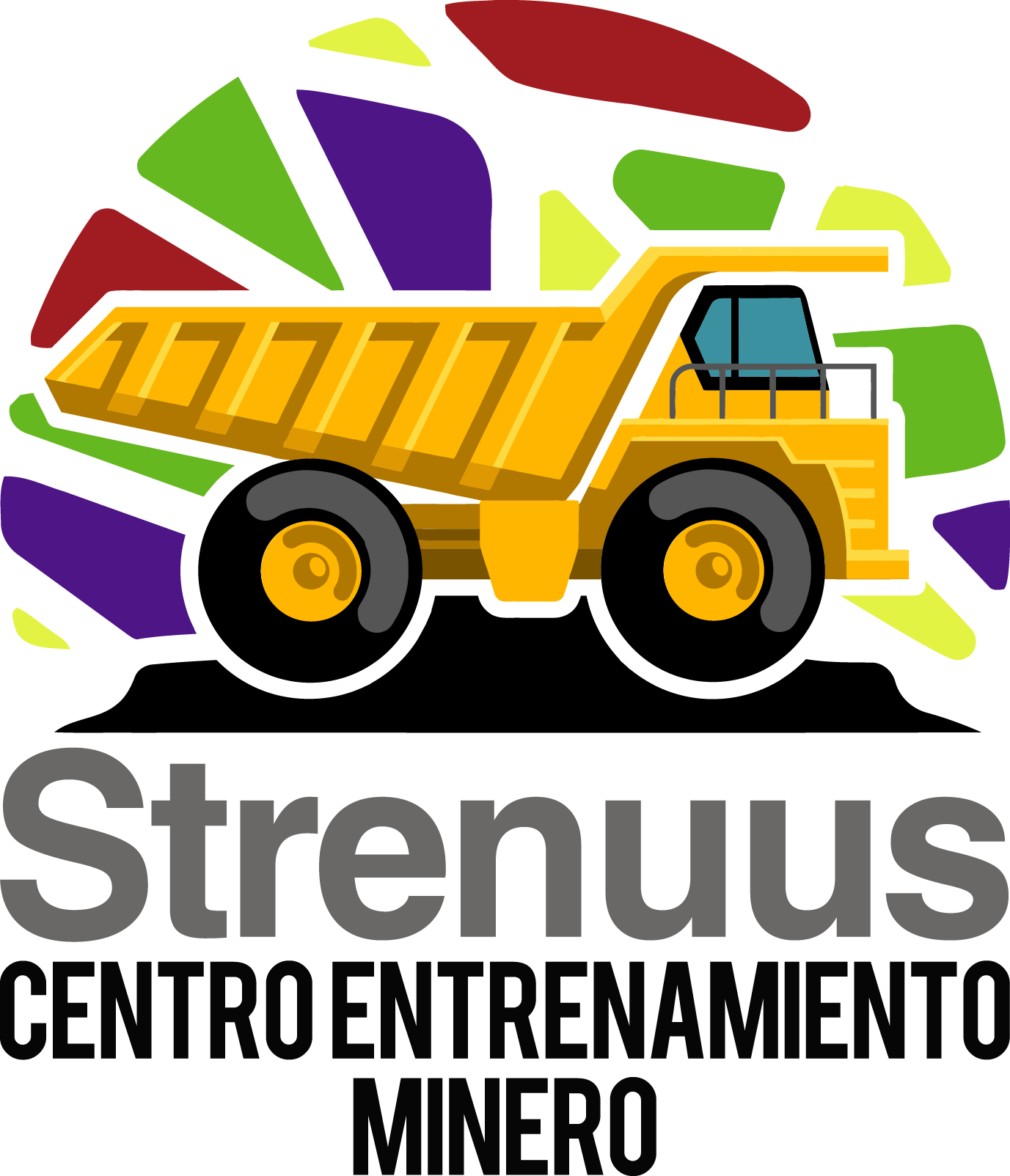 Logo Strenuus CEM